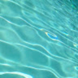 Meet your Posher, Remington